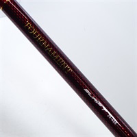 ２１トーナメントサーフＴ２５－４０５Ｒ